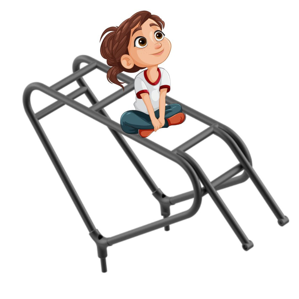 EOVOLT Afternoon PRO – Luggage rack 20 inches